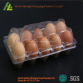 PET 10 compartimentos bandeja de huevos desechable